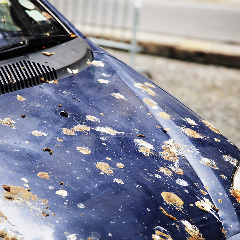 Best%20car%20cleaning%20products%20for%20Uber%20drivers